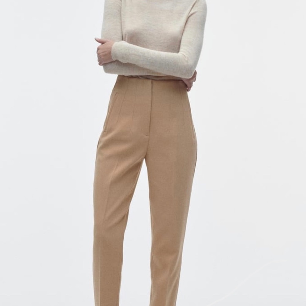 Viral Zara High Waisted Trousers